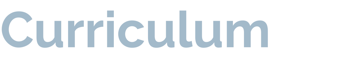 Curriculum